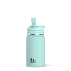 Mini 14oz Bottle - Aqua